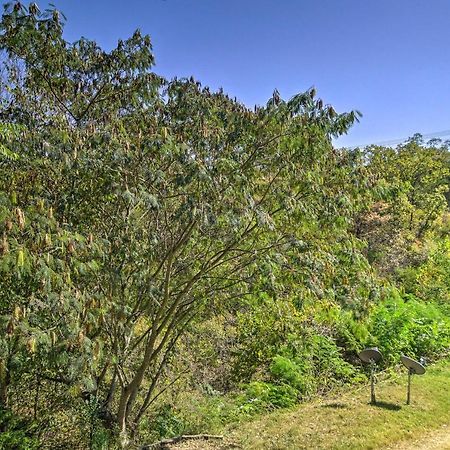 Centrally Located Brandon Condo With Pool Access Branson Eksteriør bilde